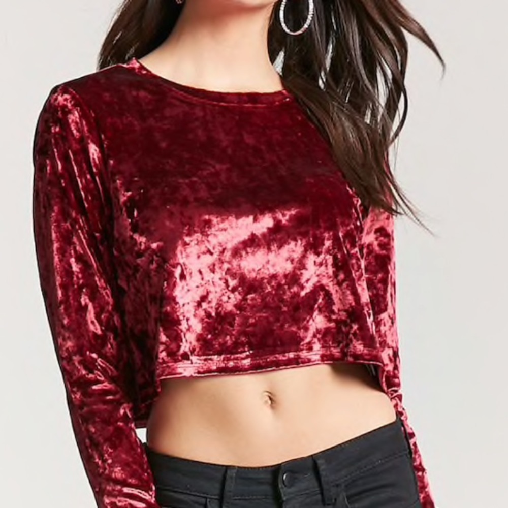 NWT velvet long sleeve crop top